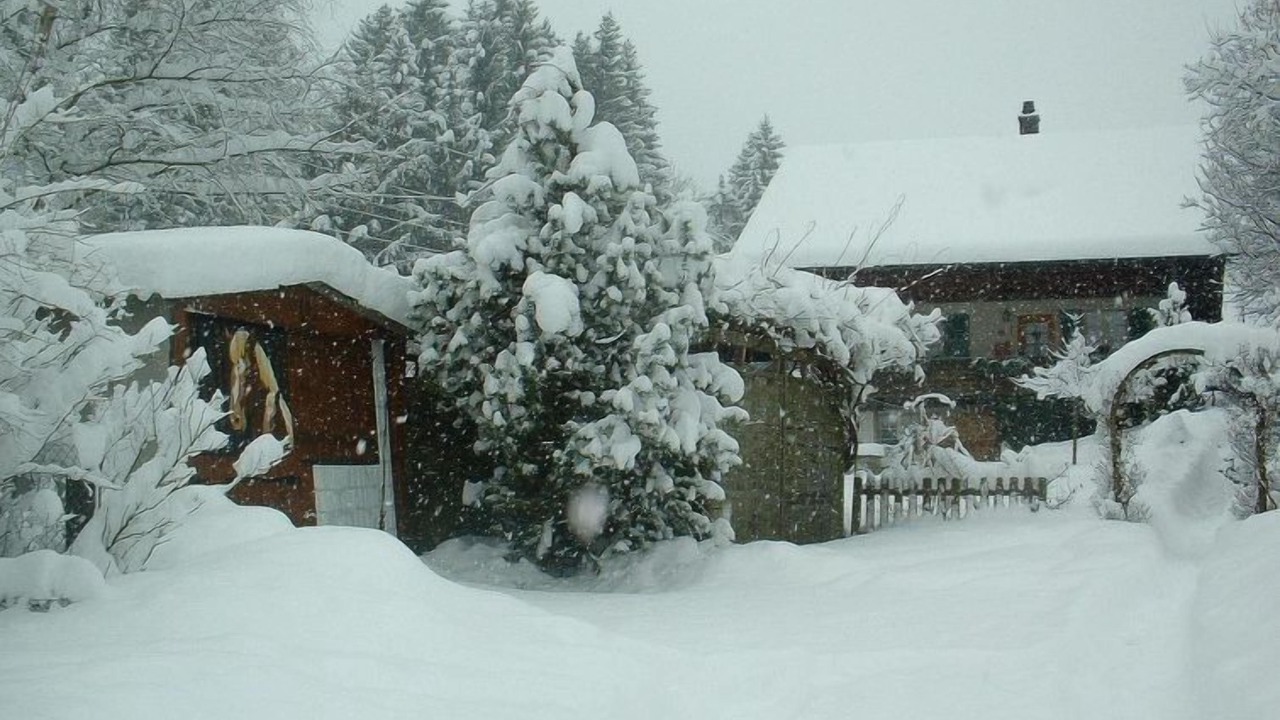 Photo of Outdoor in Oberwil im Simmental
