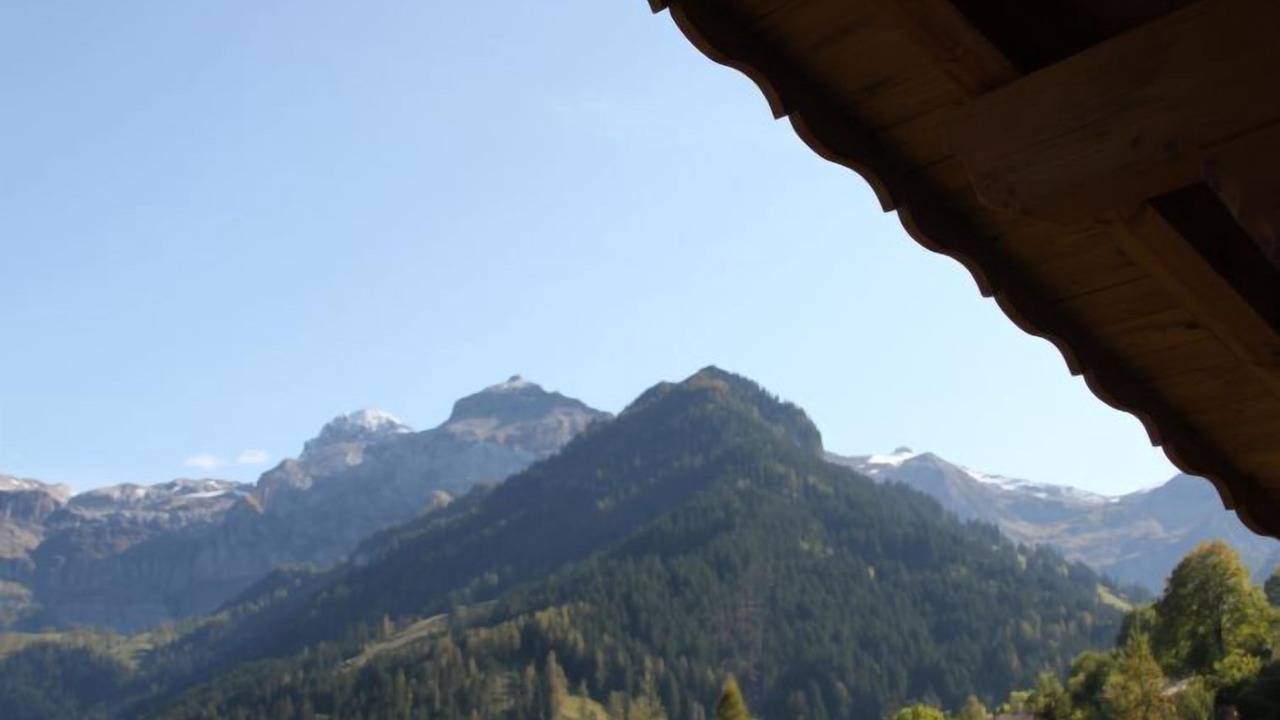 Photo of Others in Lenk