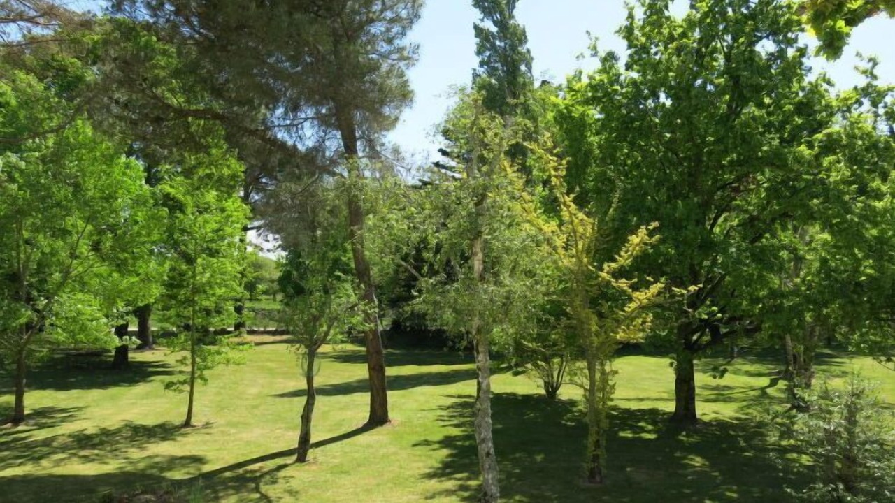 Photo of Outdoor in Piriac-sur-Mer