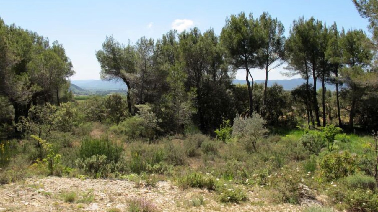 Photo of Outdoor in Puyvert