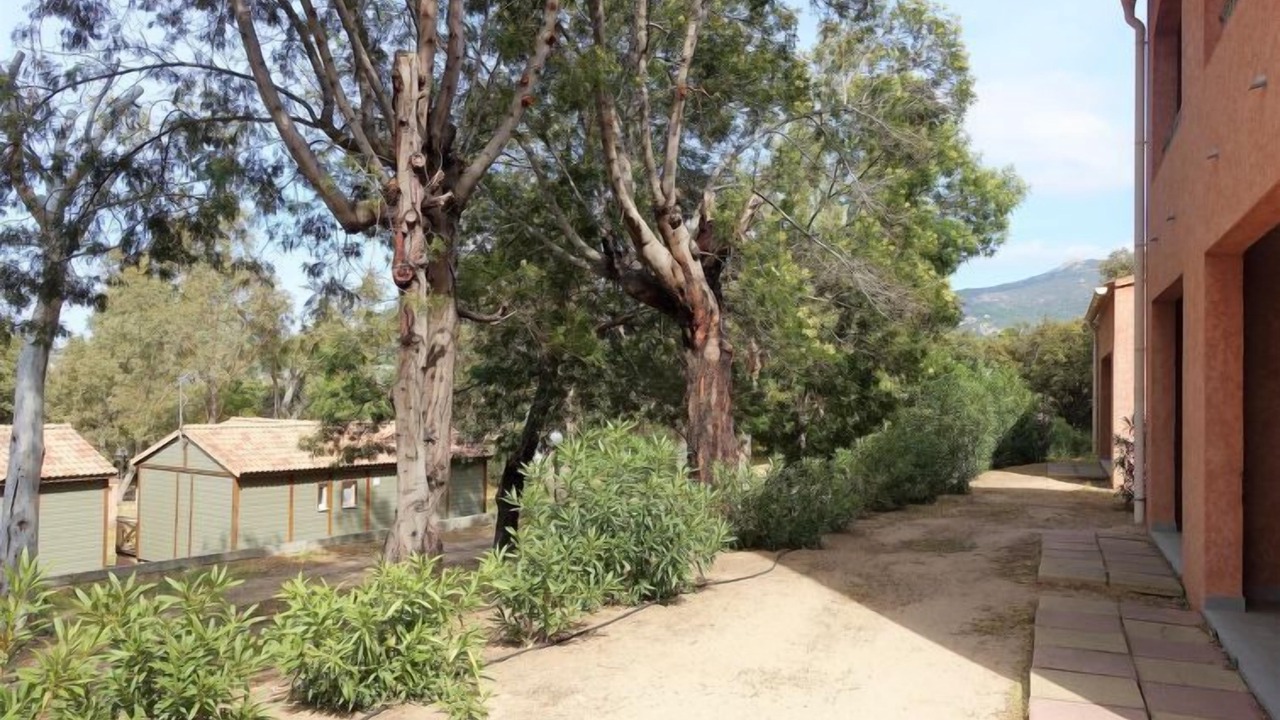 Photo of Outdoor in Algajola