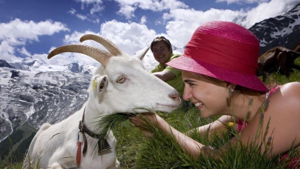 Photo of Others in Saas-Fee