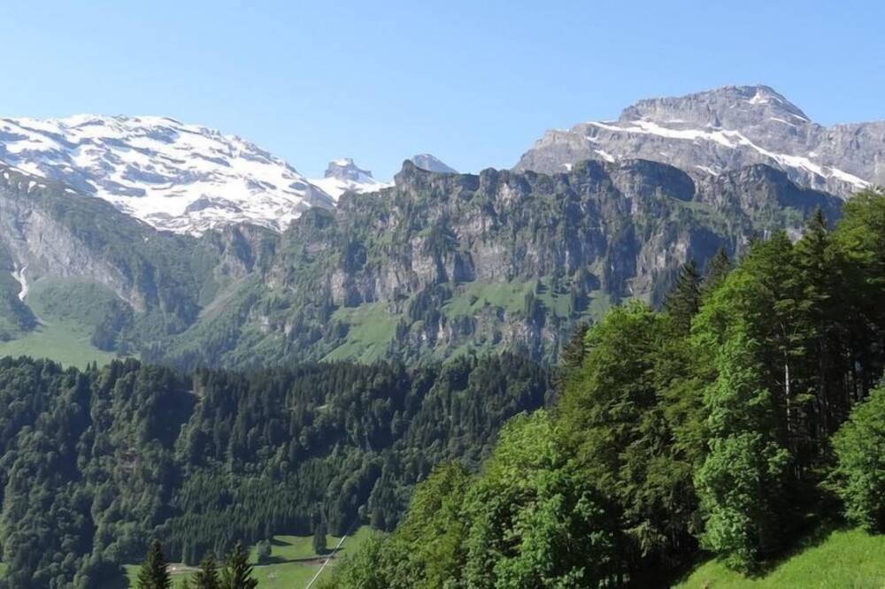 Photo of Others in Engelberg