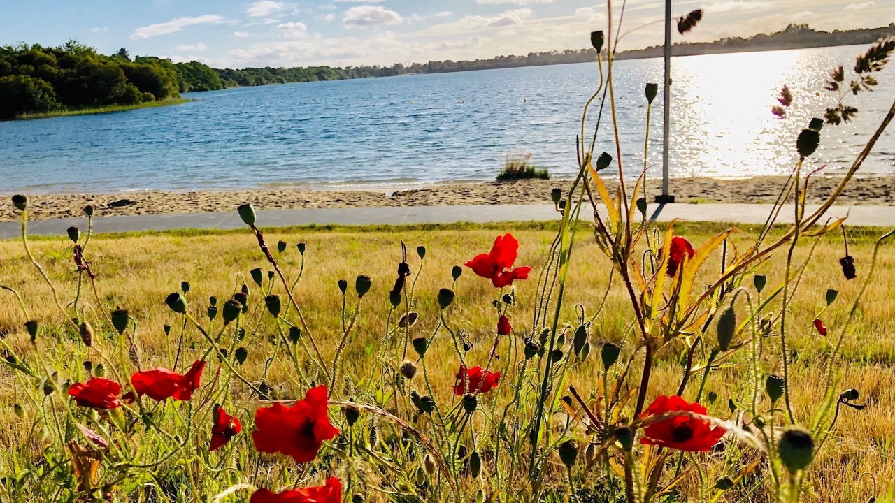 Photo of Outdoor in Arjuzanx