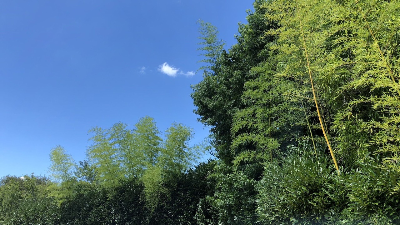 Photo of Outdoor in Arjuzanx