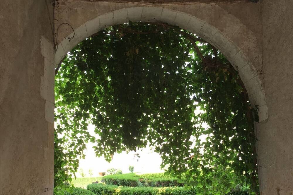 Photo of Outdoor in Lignieres-de-Touraine