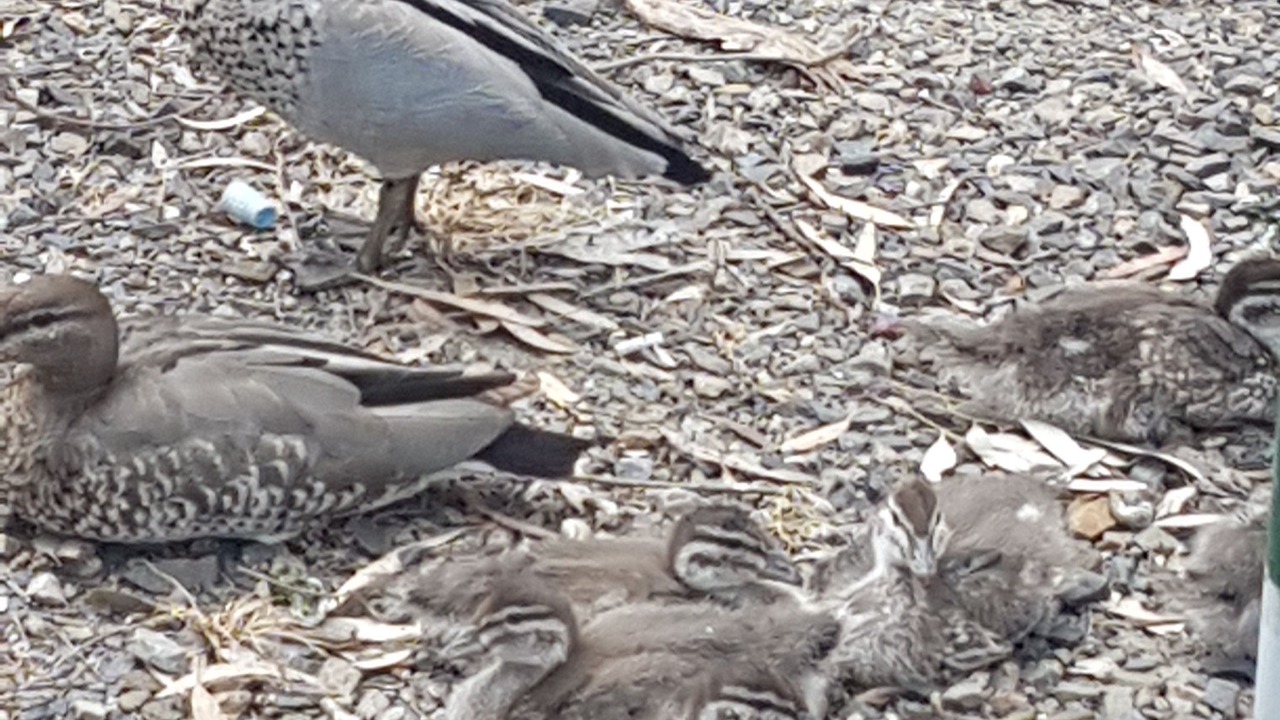 Photo of Outdoor in Willaston