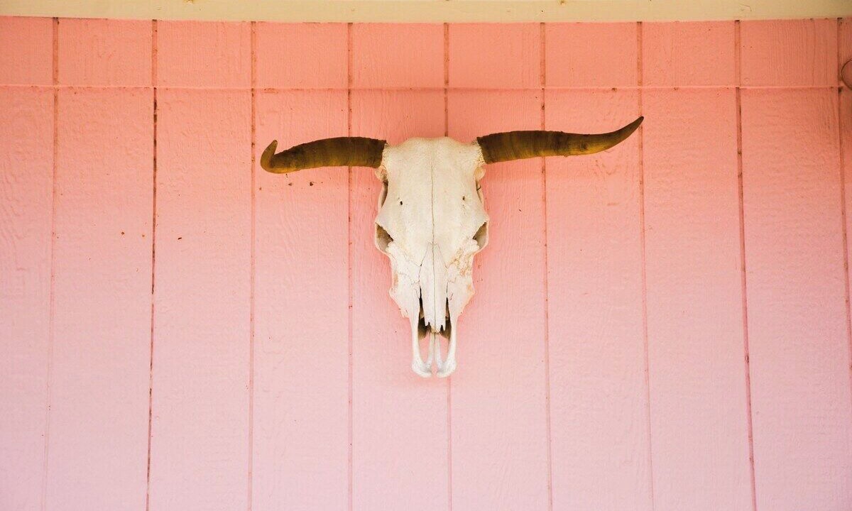 Photo of Outdoor in Marfa