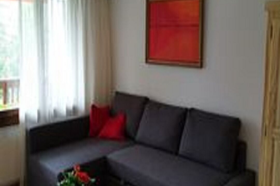 Photo of Livingroom in Crans-Montana