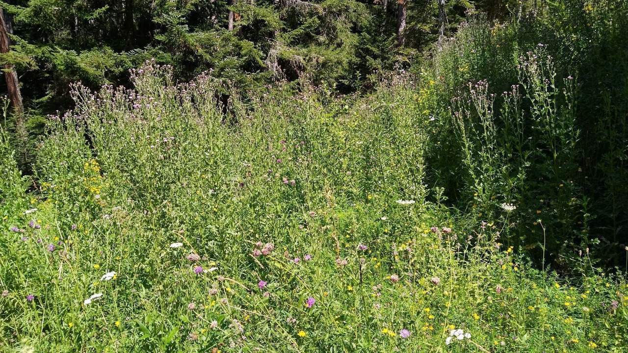 Photo of Outdoor in Crans-Montana