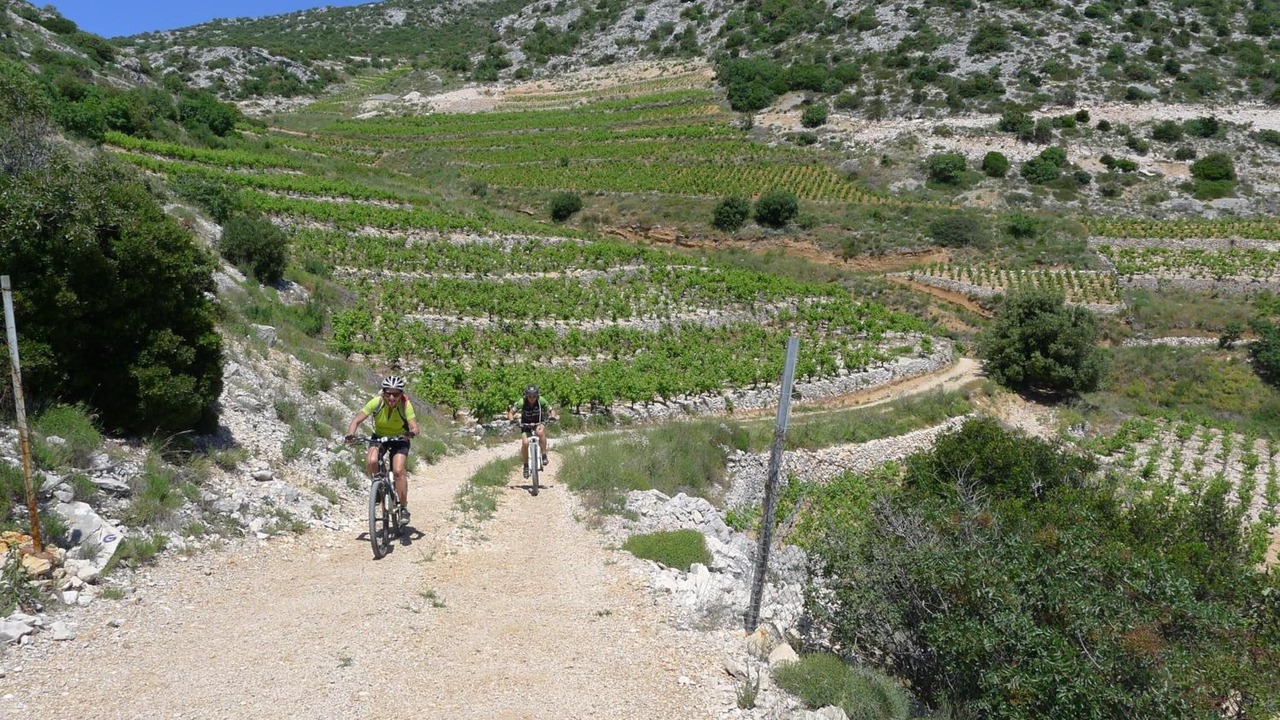 Photo of Outdoor in Orebic