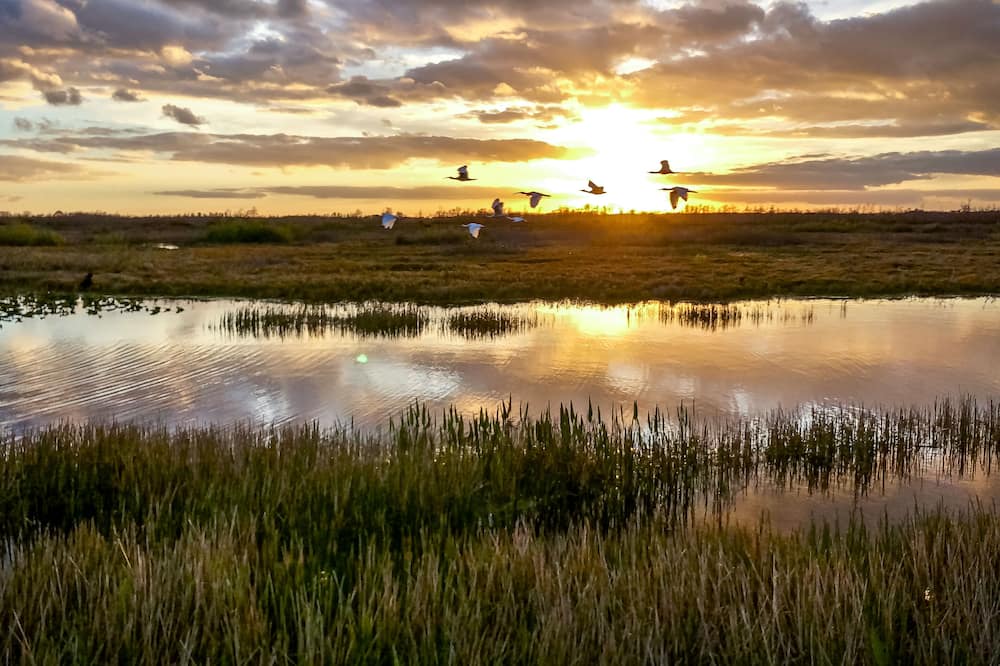 Photo of Outdoor in Bernesq