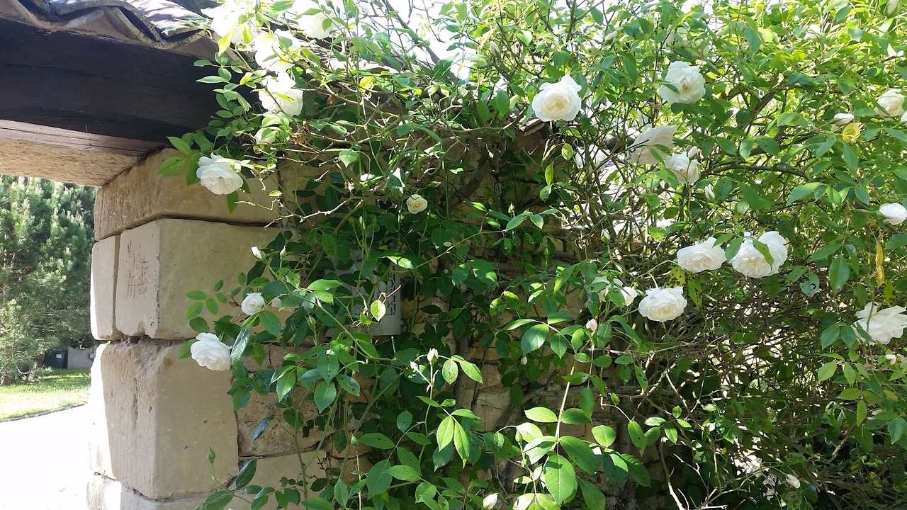 Photo of Outdoor in Fontet