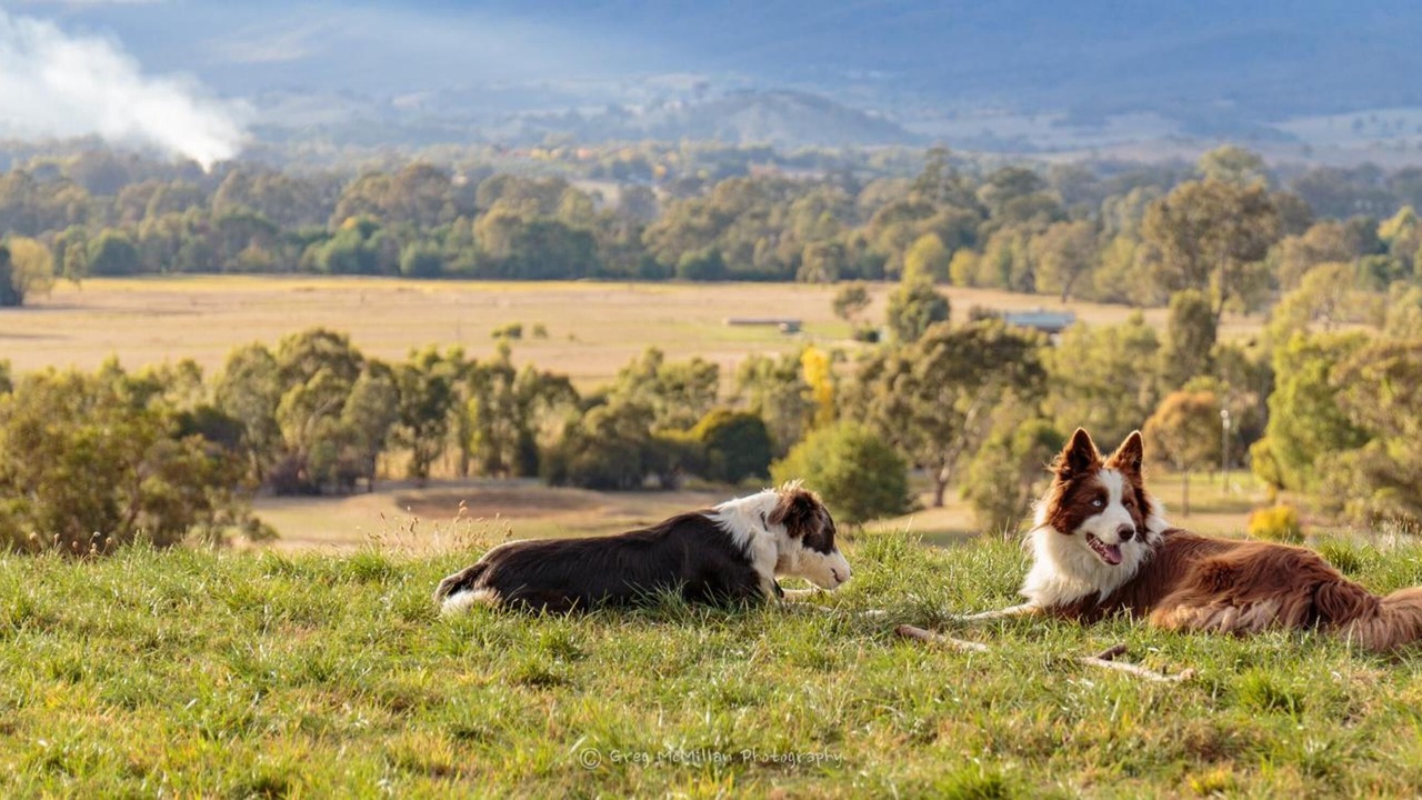 Photo of Outdoor in Acheron