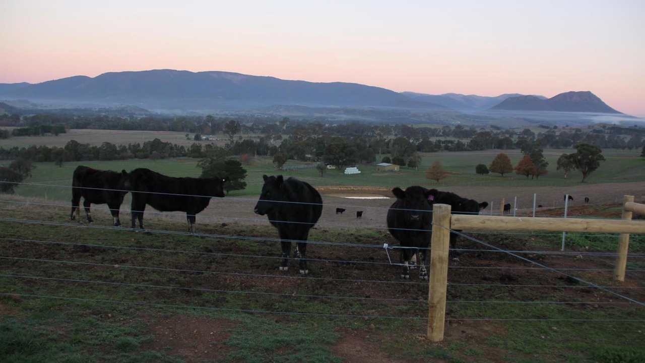 Photo of Outdoor in Acheron