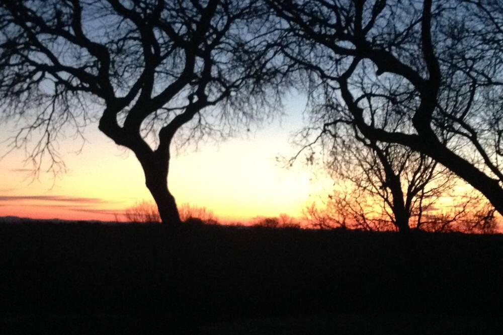 Photo of Others in Boerne