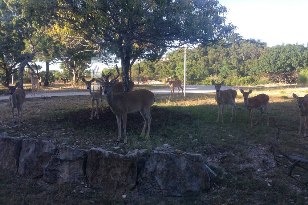 Photo of Outdoor in Boerne
