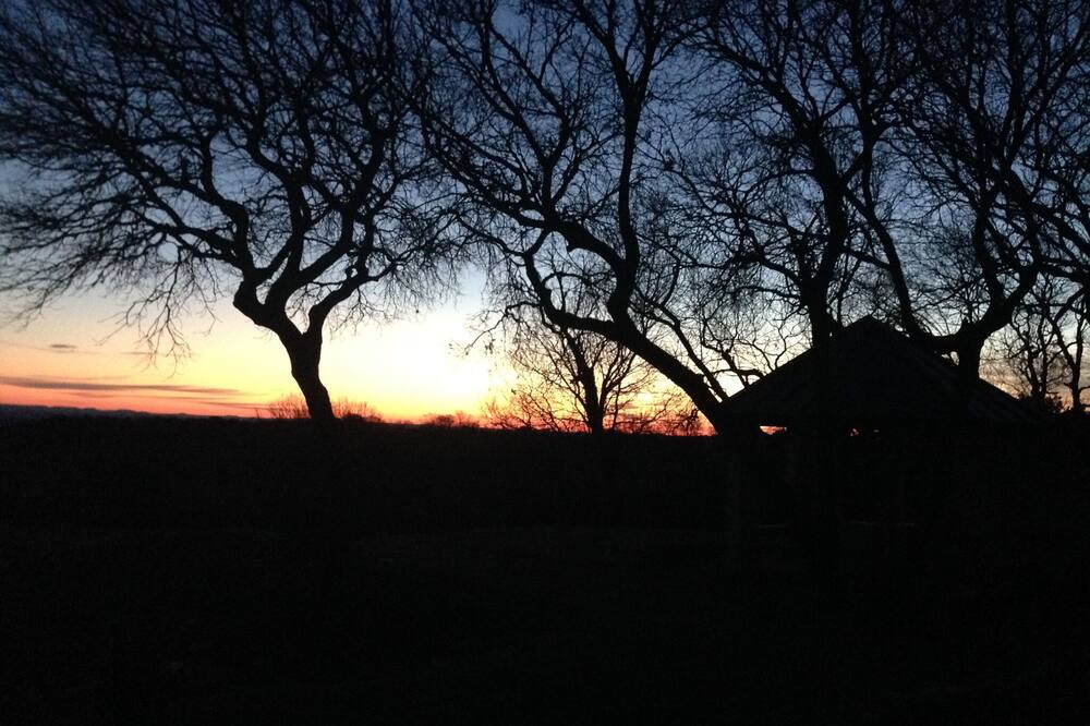 Photo of Others in Boerne