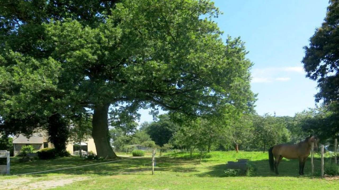 Photo of Others in Le Tronchet