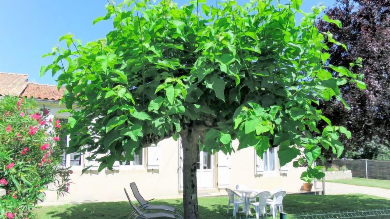 Photo of Outdoor in Begadan