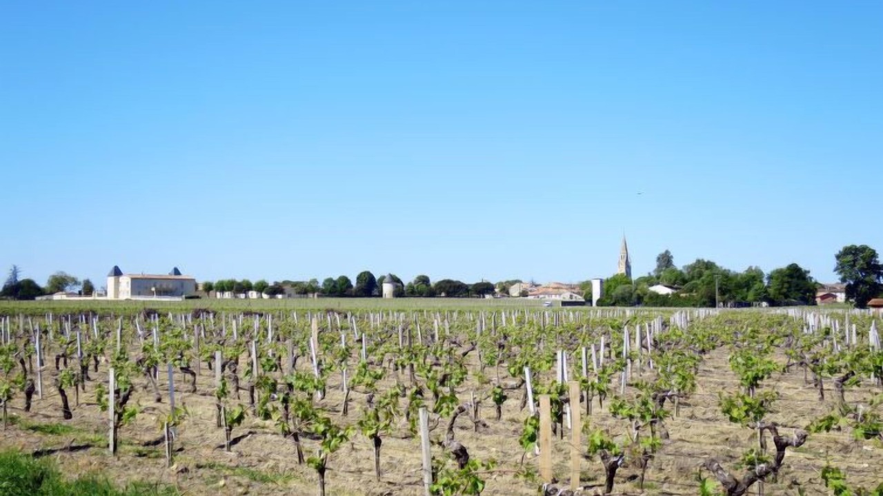 Photo of Outdoor in Begadan