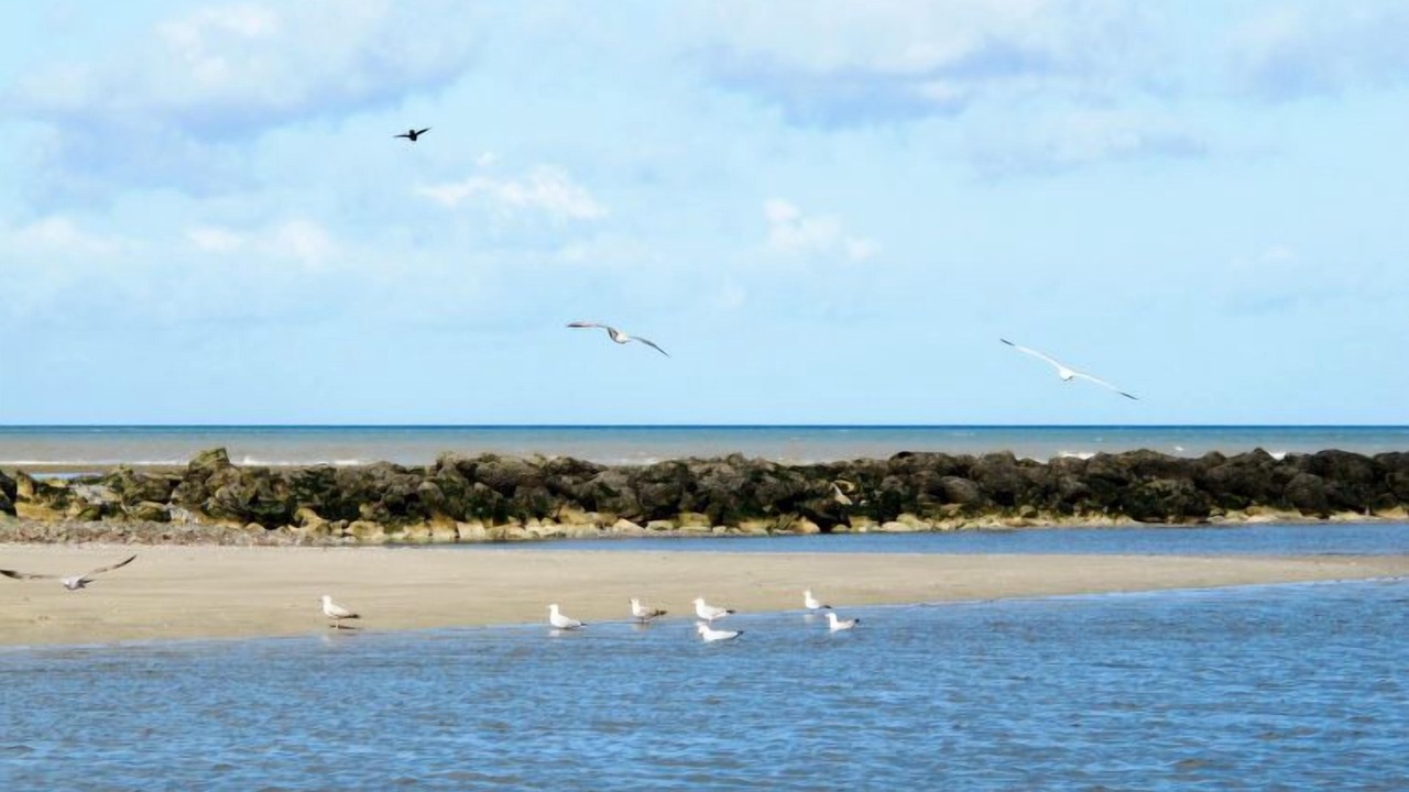 Photo of Others in Biniville