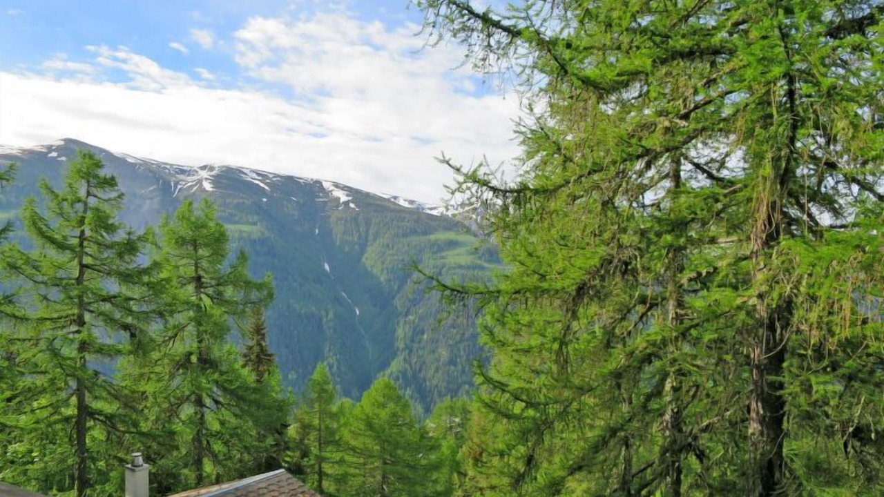 Photo of Others in Bellwald