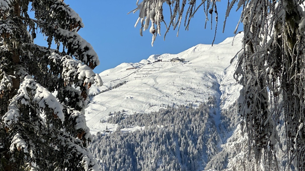 Photo of Others in Bellwald