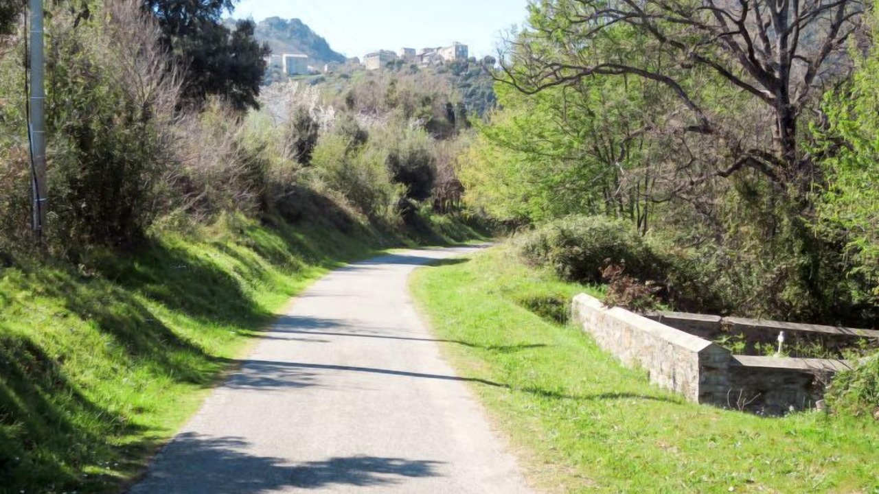 Photo of Outdoor in Cervione