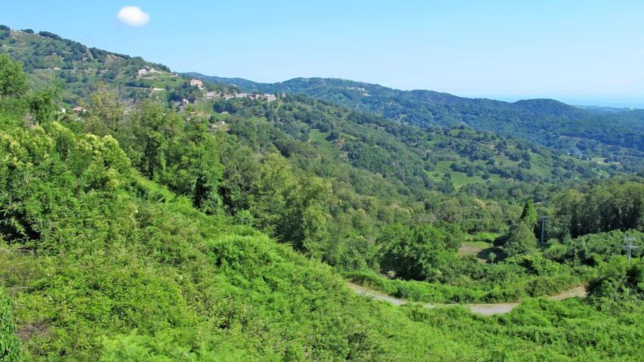 Photo of Others in Cervione