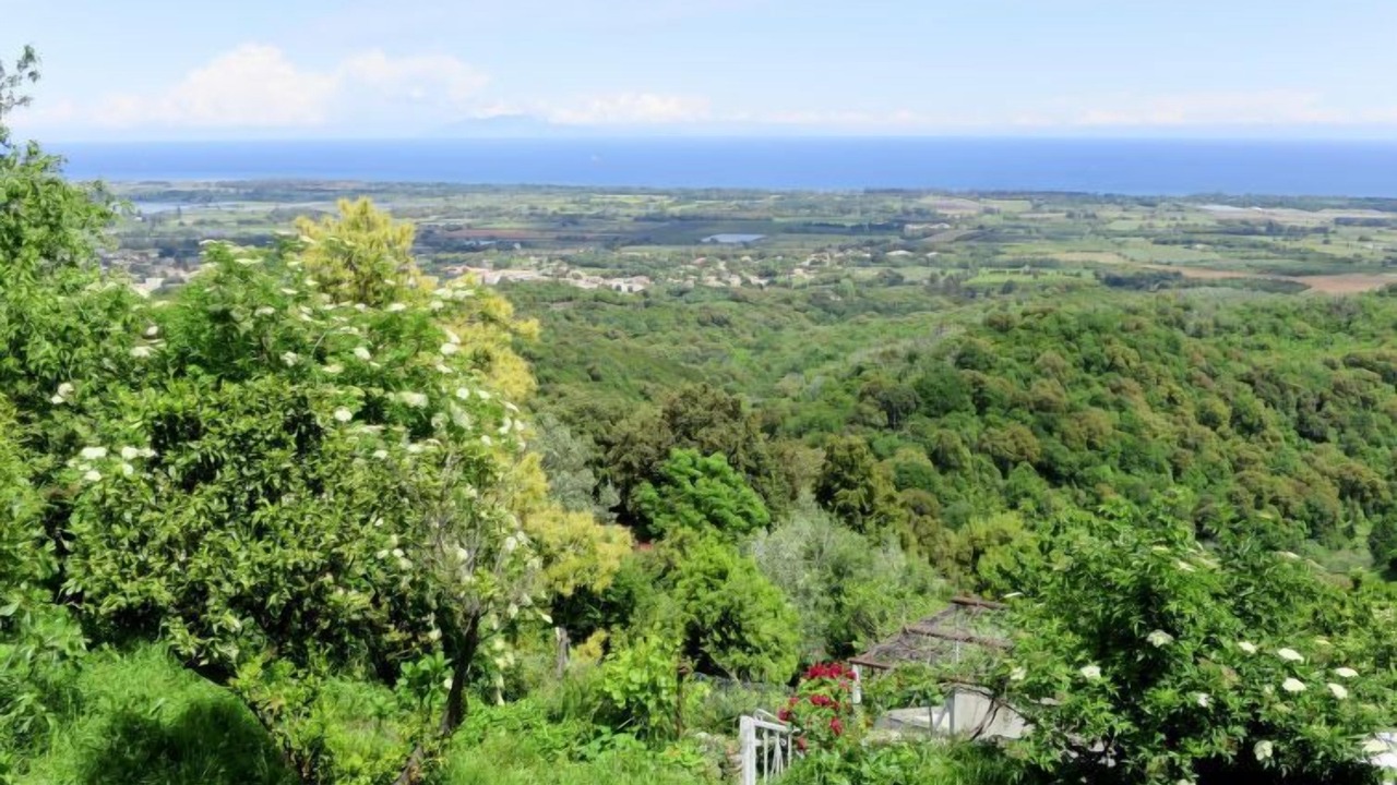 Photo of Outdoor in Cervione