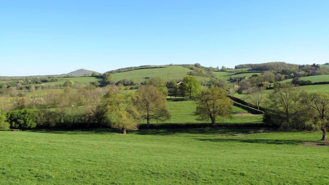 Photo of Outdoor in Chiddes