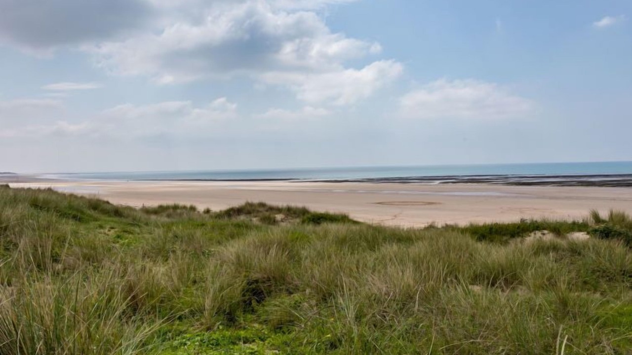 Photo of Others in Surville