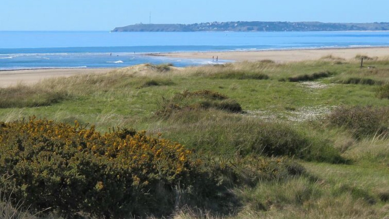 Photo of Others in Surville