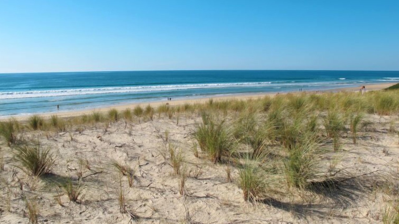 Photo of Outdoor in Biscarrosse Plage