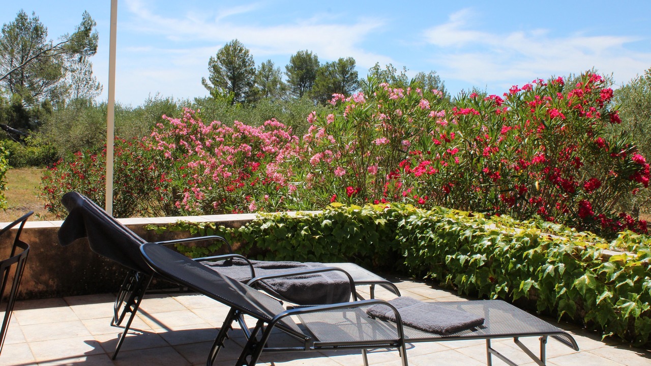 Photo of Outdoor in Lorgues