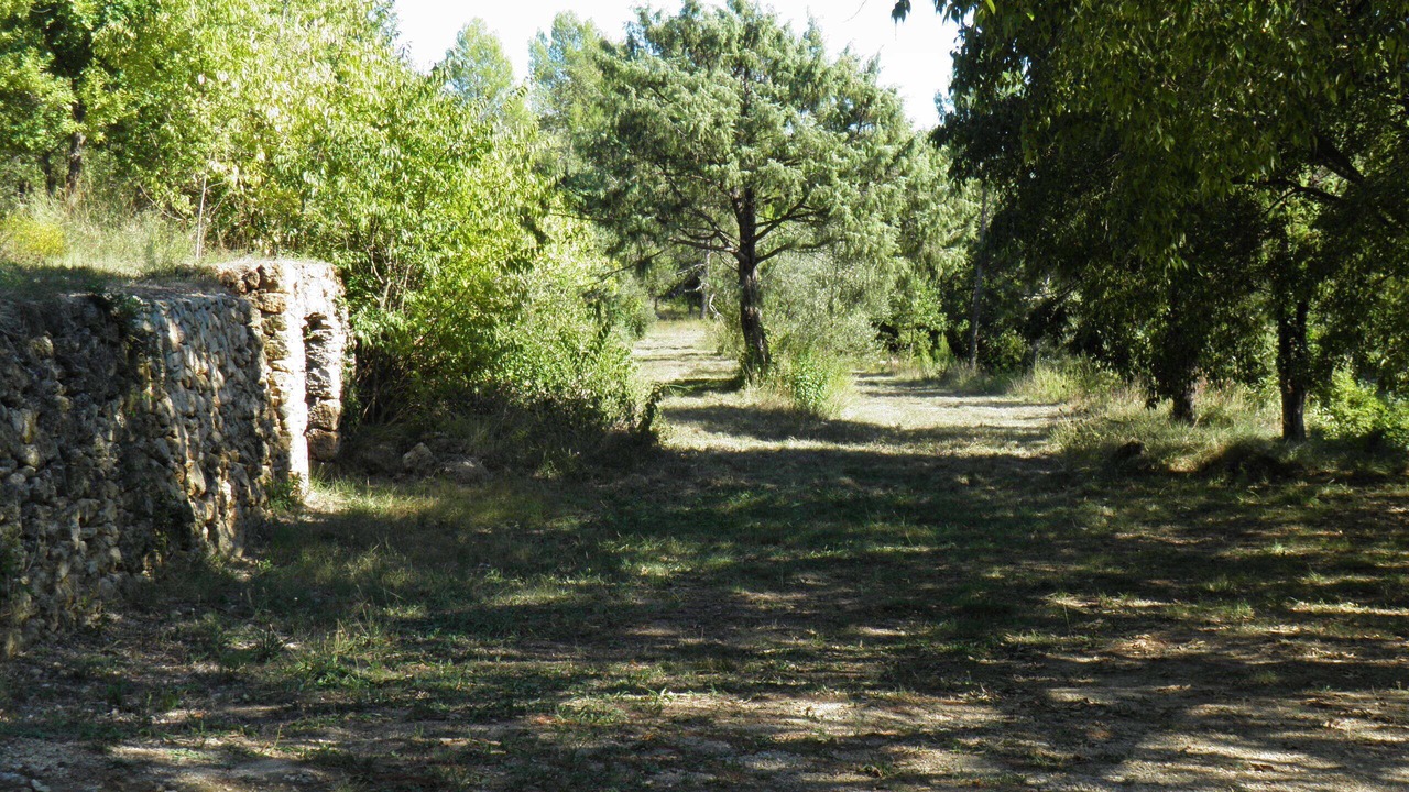 Photo of Outdoor in Lorgues
