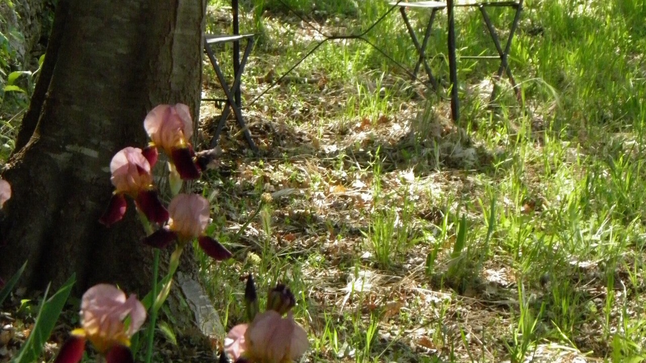 Photo of Outdoor in Lorgues