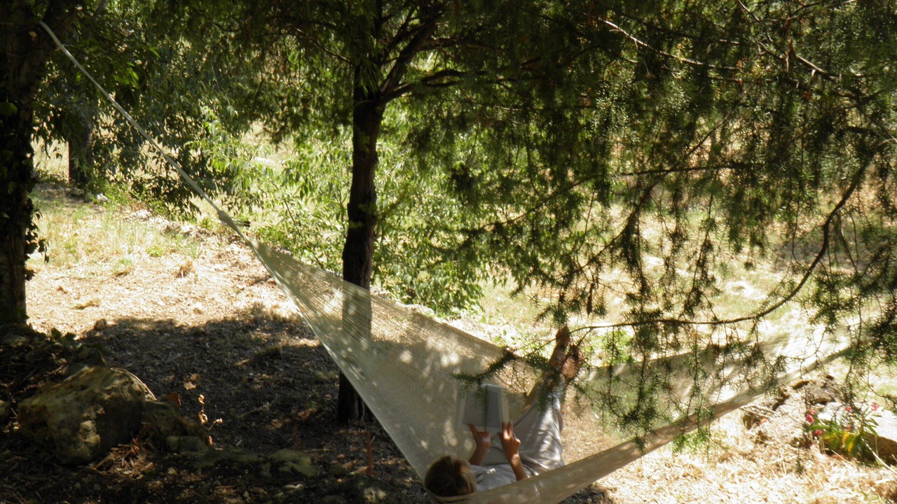 Photo of Outdoor in Lorgues