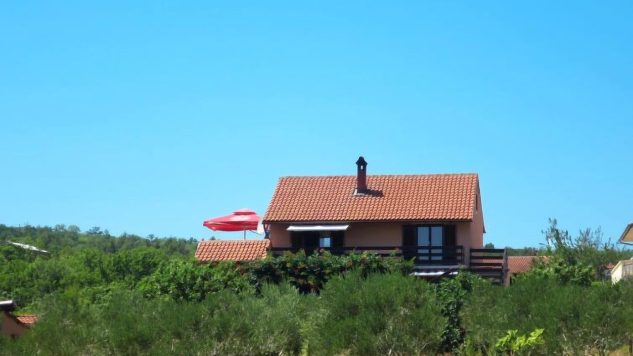 Photo of Outdoor in Pridraga