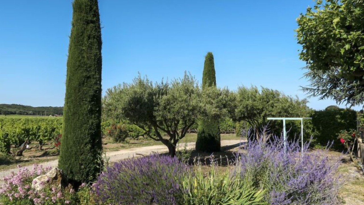 Photo of Outdoor in Grillon