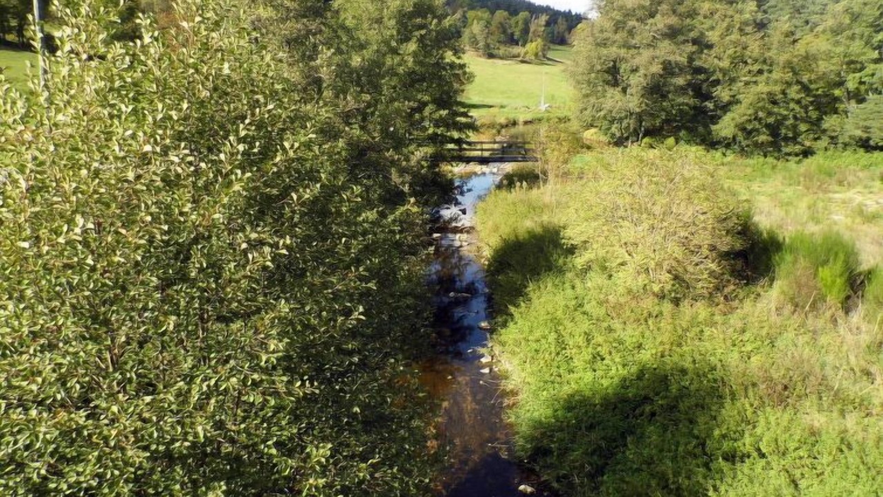 Photo of Outdoor in Saint-Julien-d'Ance