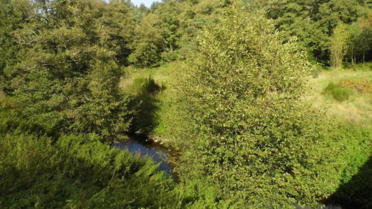 Photo of Outdoor in Saint-Julien-d'Ance