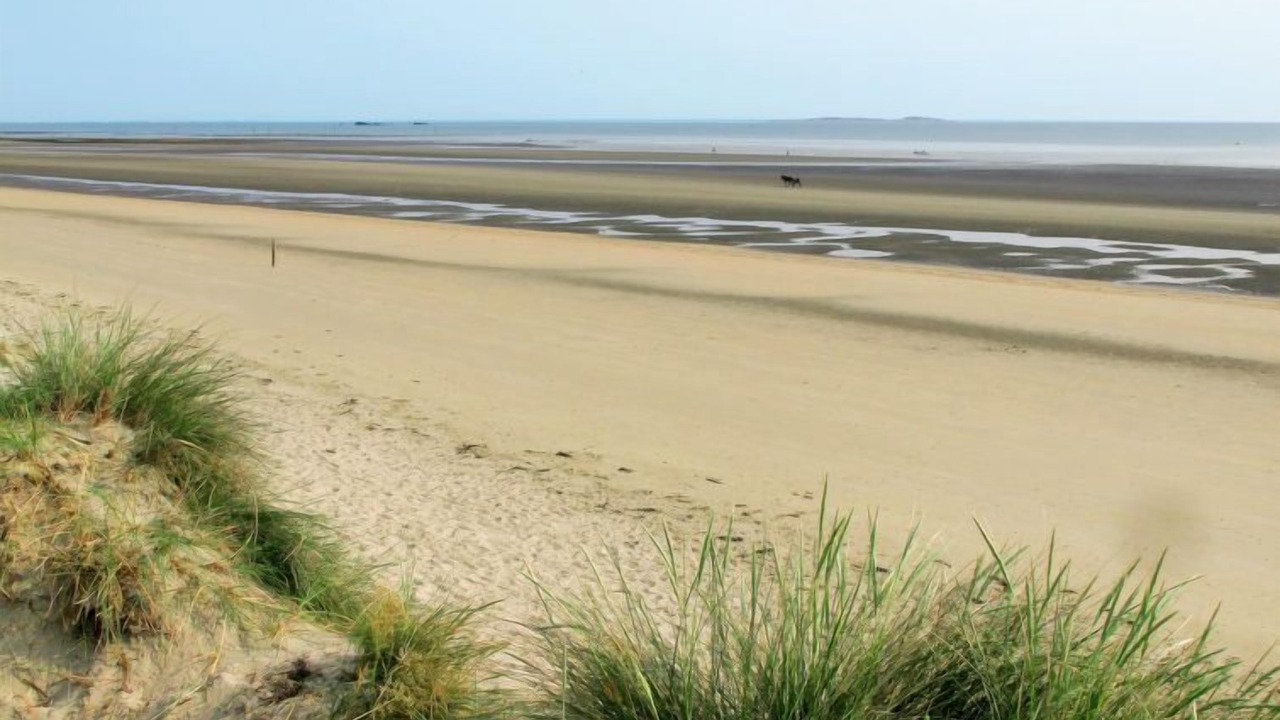 Photo of Others in Sainte-Marie-du-Mont