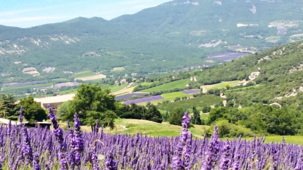 Photo of Outdoor in Roche-Saint-Secret