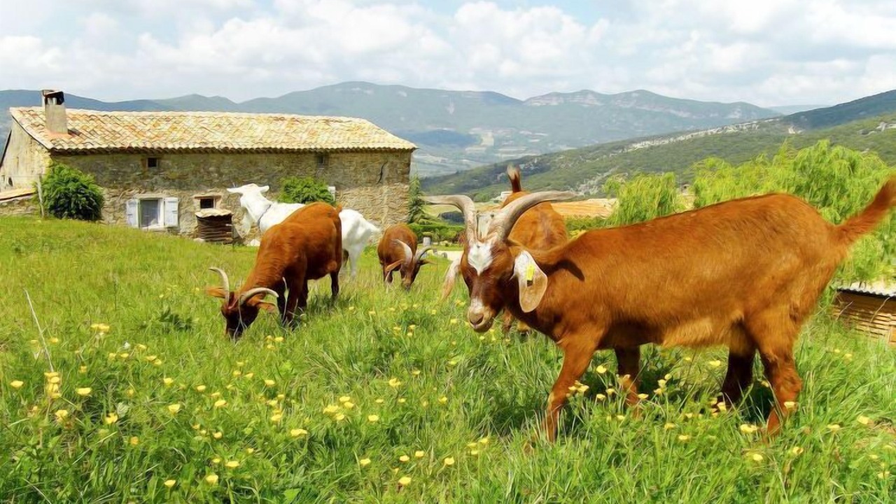 Photo of Outdoor in Roche-Saint-Secret