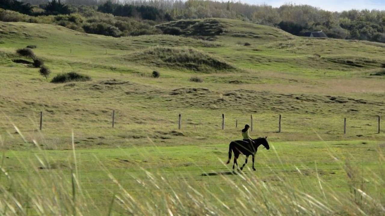 Photo of Others in Hauteville-sur-Mer