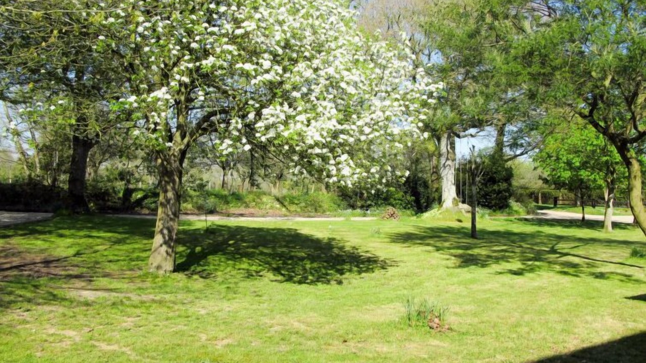 Photo of Outdoor in Saint-Sauveur-le-Vicomte