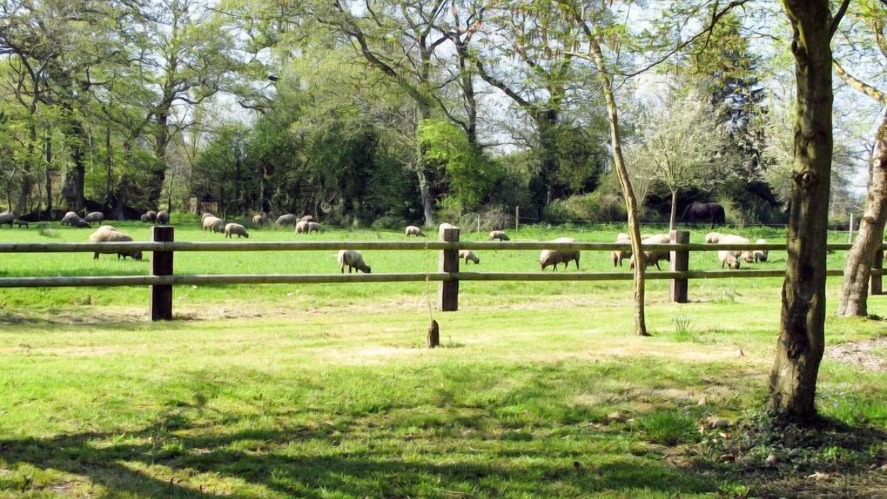 Photo of Others in Saint-Sauveur-le-Vicomte