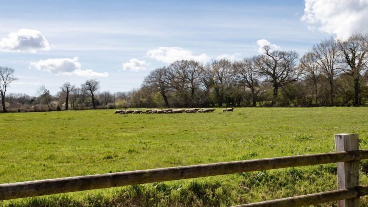 Photo of Others in Saint-Sauveur-le-Vicomte